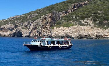 Teuta II Boatne vlore